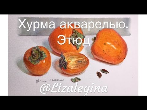 Видео: Как написать хурму акварелью.