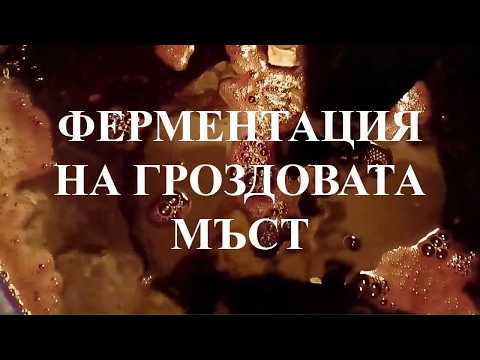 Видео: Какво трябва да знаем за ферментацията? Идеални условия за протичане на ферментацията при виното.