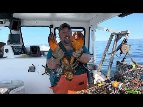 Видео: POV: Рабочий день ловца лобстеров из Мэна