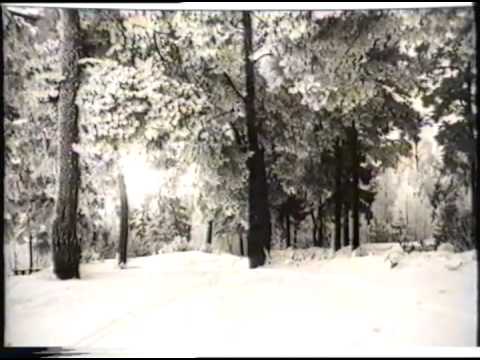 Видео: Дубна 20 лет назад (1992)