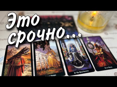 Видео: ❗️Что 200% Случится в ближайшие 10 дней? 🌼♥️♣️ таро прогноз