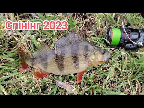 Видео: Спінінг 2023 зимова рибалка на ультралайт
