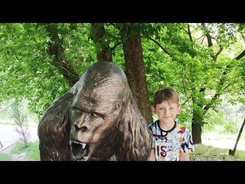 Видео: "Золотий Фазан " в Ставище.               День народження Ренатіка.