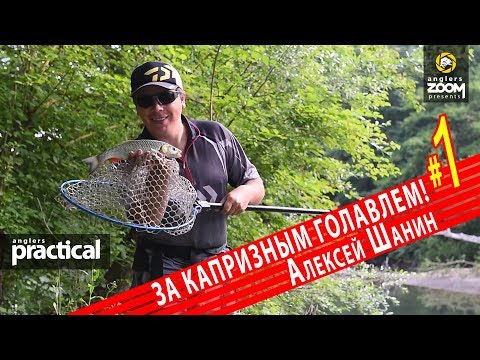 Видео: Капризный голавль на попперы в летнюю жару. Алексей Шанин 1 Часть. Anglers Practical