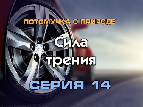 Видео: Потомучка о природе 14. Сила трения