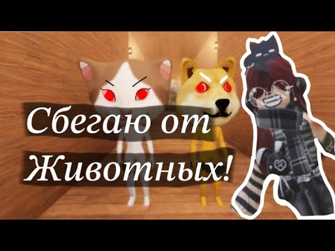 Видео: Играю в Zooo/сбегаю от животных/Sofia play