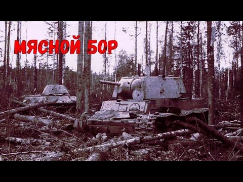 Видео: МЯСНОЙ БОР / НЕ ЗНАЮ КАК ОСТАЛСЯ ЖИВ...