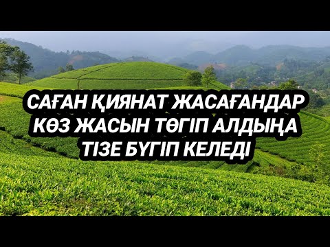Видео: Саған жамандық істегендер алдыңа бас иіп келіп көз жасын төгеді