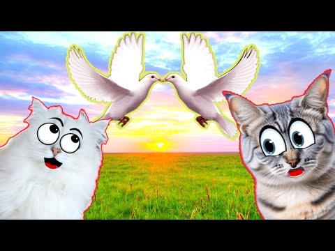 Видео: ЭТО ЛЮБОВЬ! ГОЛУБКА спасла ГОЛУБЯ!