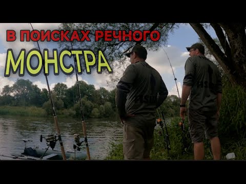 Видео: Ловим СОМА с Берега. За пару часов поймали пару сомов.