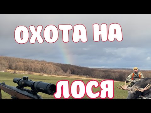 Видео: ОХОТА НА ЛОСЯ.
