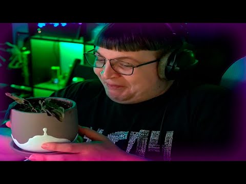 Видео: убил цветок