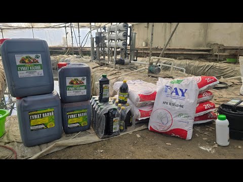 Видео: КАПЕЛНИЙДАН ДОН БОКИШ УЧУН ТАЙЁР РЕЦЕПТ