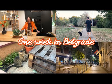 Видео: vlog | петситтерство, Икея и ночной Белград