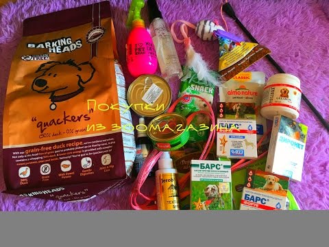 Видео: ПОКУПКИ ИЗ ЗООМАГАЗИНА