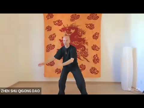 Видео: ШКОЛА ЖЭНЬ-ШУ ЦИГУН ДАО. ЗАПИСЬ ФРАГМЕНТА ЗАНЯТИЯ ЦИГУН ОНЛАЙН (ZOOM 16.7.2025)
