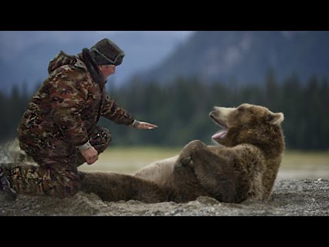 Видео: Медведь рухнул к ногам старого егеря, пытаясь спастись от охотников. Ему уже нечего было терять