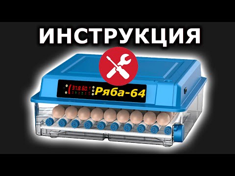Видео: Ряба 64 Настройка Инкубатора Инструкция