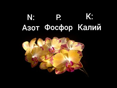 Видео: Азот, Фосфор, Калий Когда? и Сколько? Удобрения для орхидей.