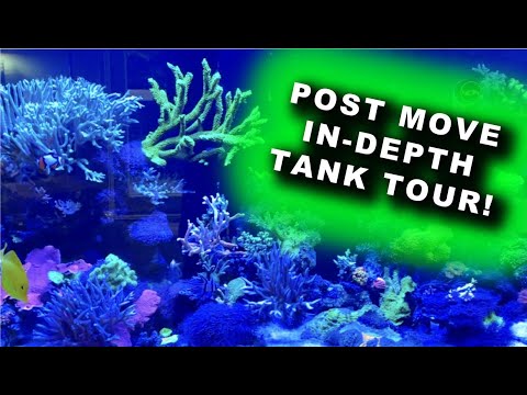 Видео: Обзор танка после переезда! Подробный обзор!