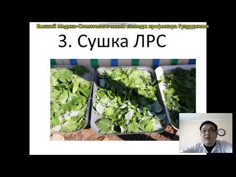 Видео: "Сбор сушка растительного лекарственного сырья"