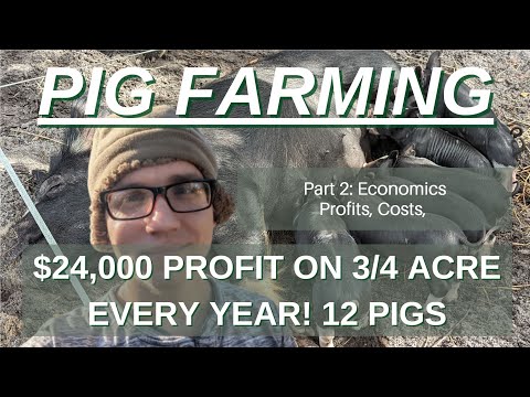 Видео: Заработок в 27 тысяч долларов в год с 3500 долларов и доходом от свиноводства с площадью менее ак...