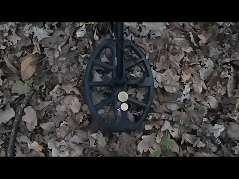 Видео: Не БИТАЯ ХАТА в лесу! Куча ЗОЛОТА! Клад? Hoard of coins, treasures,  metal detecting, gold detecting