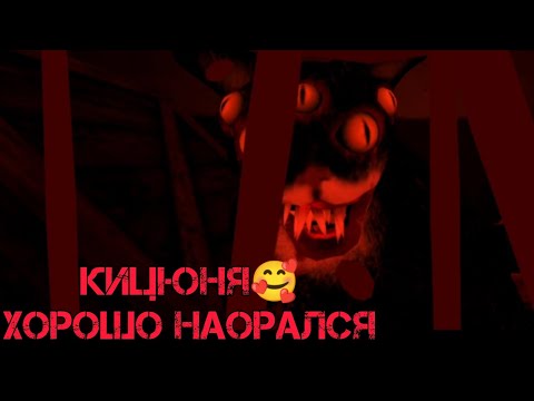 Видео: КИЦЯ🥰 | Cat Fred | DarkBlue