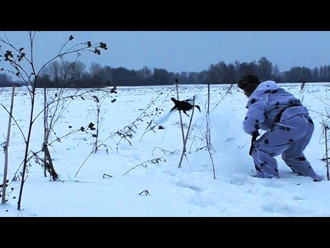 Видео: ШИКАРНАЯ ОХОТА НА ТЕТЕРЕВА НА ЛУНКАХ. НЕВЕРОЯТНОЕ ТЕРПЕНИЕ КОСАЧА ВПЕЧАТЛЯЕТ...