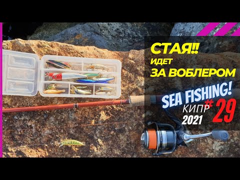 Видео: За воблером гонится стая рыбы!! Мелкие крэнки в море 🔥 Рыбалка на Кипре 🇨🇾 Часть - 29. Сезон 2021