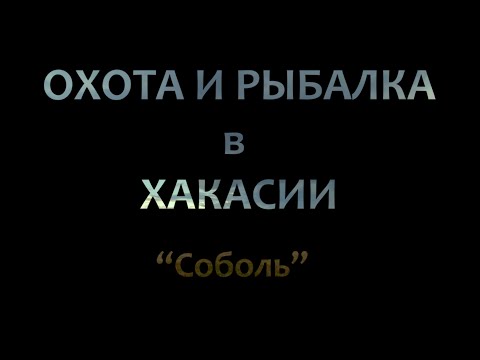 Видео: ОХОТА И РЫБАЛКА В ХАКАСИИ. СОБОЛЬ