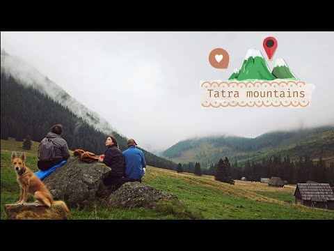 Видео: Идеальный поход с собакой по туманным горам 🐕🏔️🎒🥪