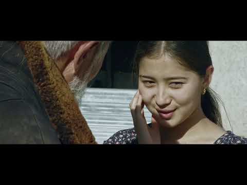 Видео: Шалғайдағы оқиға | 05-бөлім