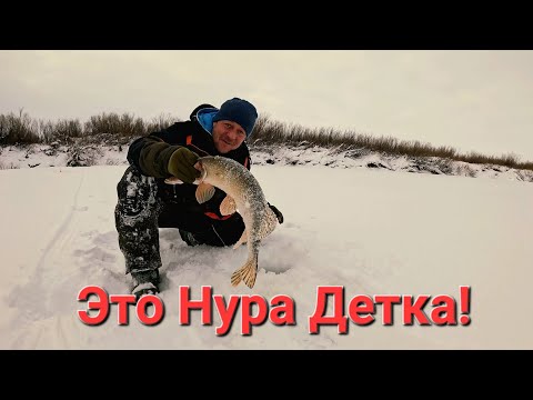 Видео: РЫБАЛКА НА НУРЕ  НУРА НАС ВСТРЕТИЛА ДОСТОЙНО  С НАЛИМОМ И ЩУКОЙ
