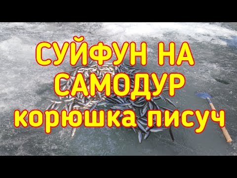 Видео: Рыбалка Суйфун корюшка писуч на самодур  Full HD