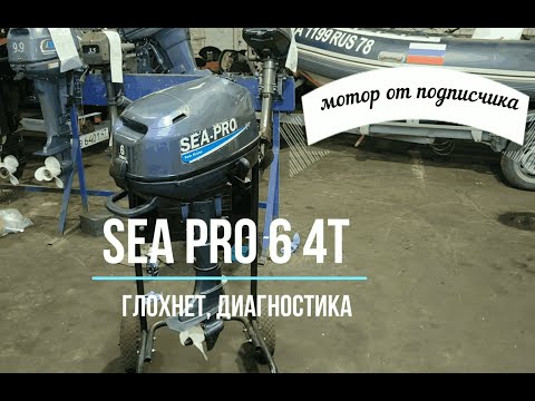 Видео: SEA-PRO 6 4T. ДИАГНОСТИКА, ГЛОХНЕТ.