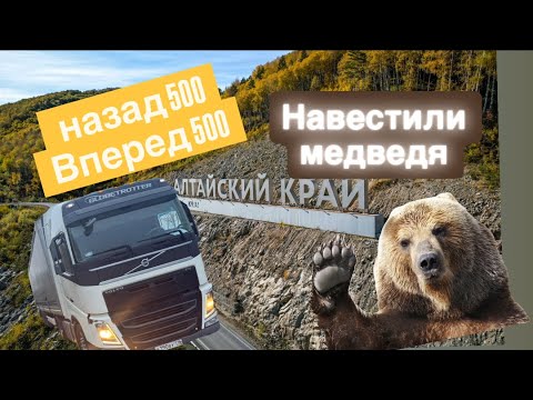 Видео: РЕЙС В АЛТАЙСКИЙ КРАЙ / УВИДЕЛИ МЕДВЕДЯ / БАРНАУЛ