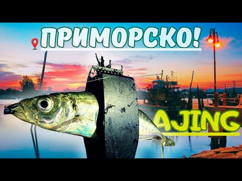 Видео: ЧЕРНОМОРСКИ AJING.САФРИДИ на СИЛИКОН в ПРИМОРСКО.