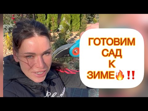 Видео: ✅ГОТОВИМ САД К ЗИМЕ🔥‼️КАК СВЯЗАТЬ⁉️ ОБРЕЗАТЬ⁉️УКРЫТЬ⁉️ ответила на все вопросы