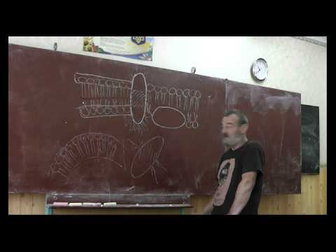 Видео: Драконоведение. Часть 36