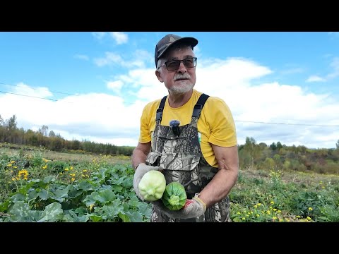 Видео: Вперёд, товарищи! На дачу! Выпуск от 23.09.25