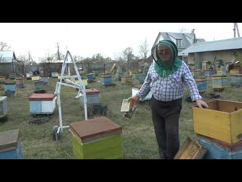 Видео: Применение подъёмного устройства при замене донышек пчелиных ульев .