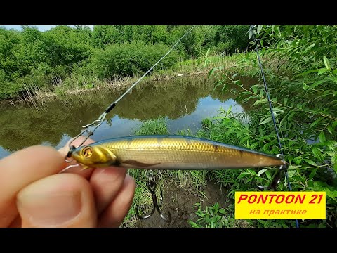 Видео: "Понтоновский" воблер на практике. Воблер PONTOON 21 CABLISTA 105SP SMR. На Яузе реке.