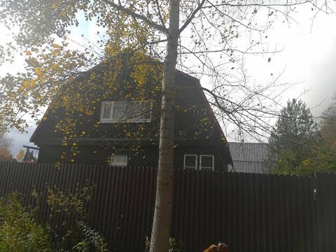 Видео: #Дача печь-камин #баня выходом в лес #Клин Ямуга #АэНБИ #недвижимость