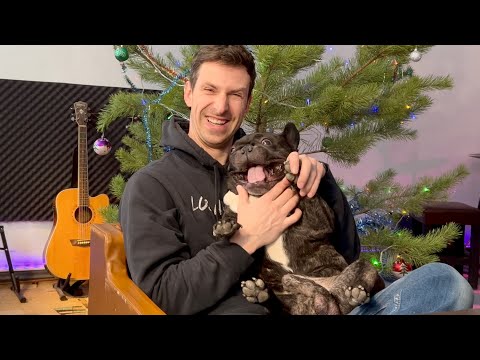 Видео: Ну не жених ли? | Французский бульдог Олег