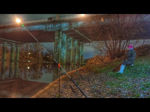 Видео: Ловлю НАЛИМА на тюльку ТВЕРСКУЮ ПЛОСКУЮ. РЫБАЛКА осенью. Russian fishing