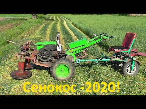 Видео: Сенокос озимой пшеницы! Как заготовить много сена!