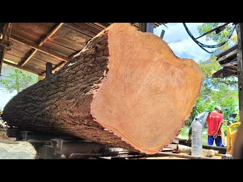 Видео: 33 минуты острых ощущений! Превращаем большое бревно красного дерева в красивую доску.