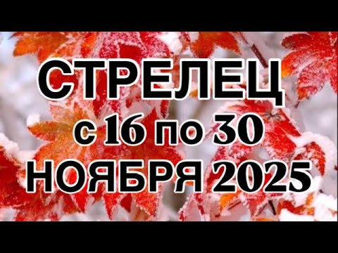 Видео: СТРЕЛЕЦ - 16  ПО 30  НОЯБРЯ  2025 | ВАЖНО! | НЕ ВАЖНО! | РЕЗУЛЬТАТ | ПРОГНОЗ ОТ NATALLIA  MARKOWSKA