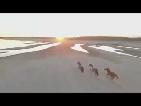 Видео: МО Жанхадинский наслег с.Техтюр